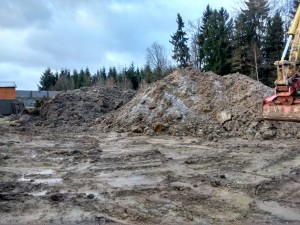 IMG_20150303_072903971_HDR